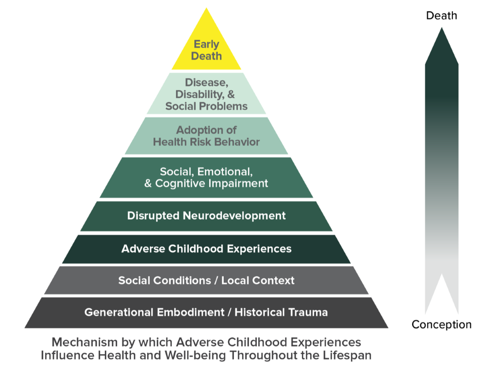Image of pyramid list from conception to death on the mechanism by with ACES influence health and well-being in lifespan
