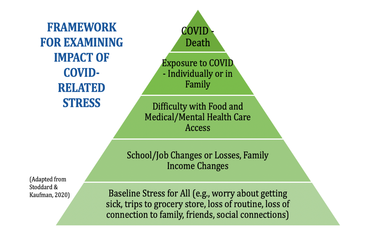Image of Framework for examining the impact of COVID
